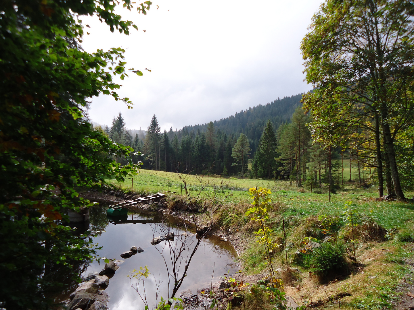 kleiner, natürlicher Schwarzwaldsee