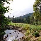 kleiner, natürlicher Schwarzwaldsee