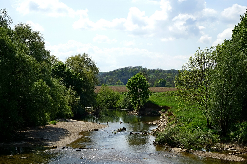 Kleiner Nebenarm des Doubs