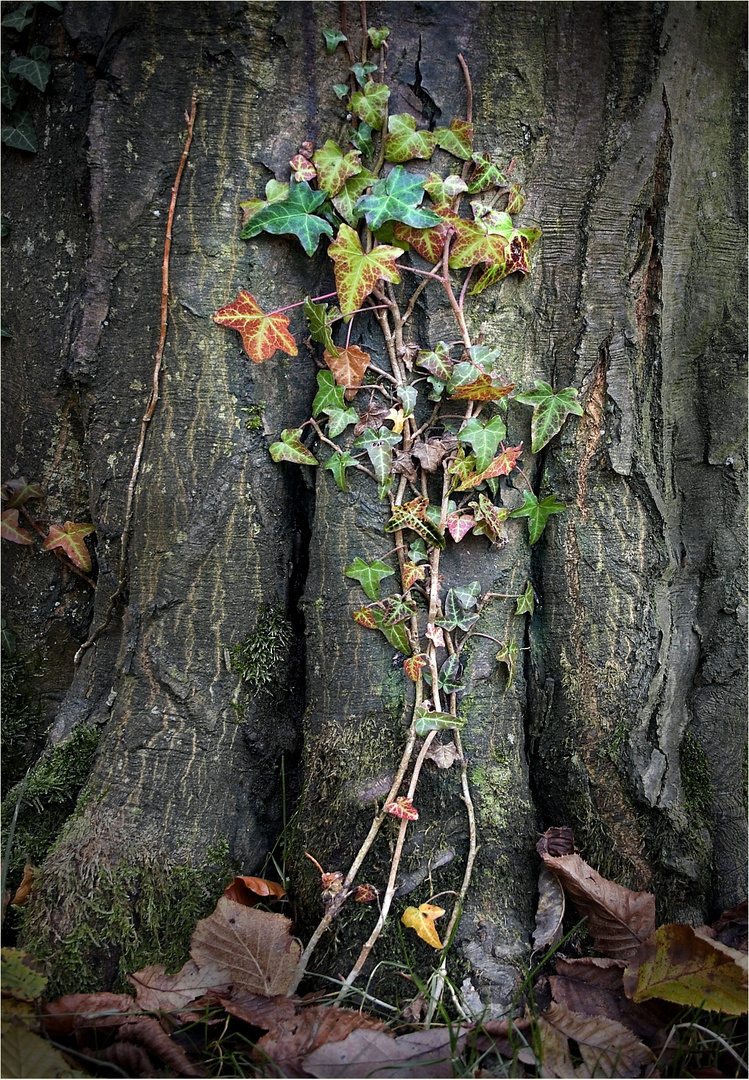 Kleiner Oktober