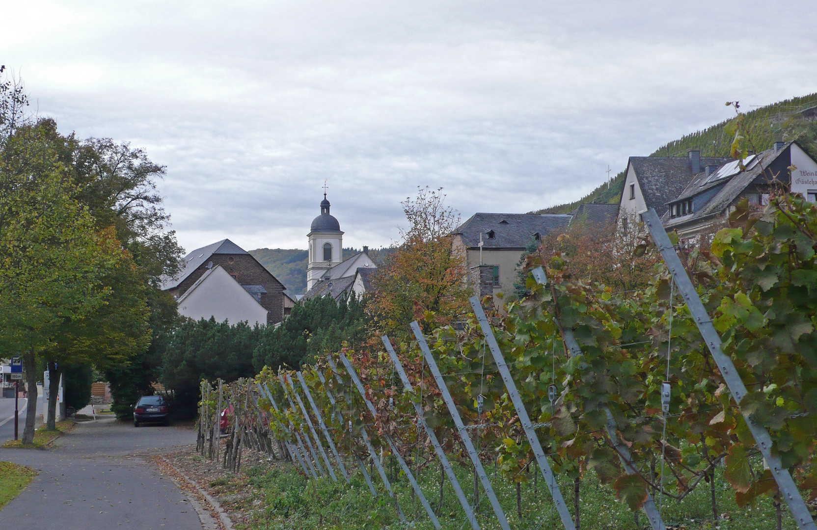 Kleiner Ort an der Mosel