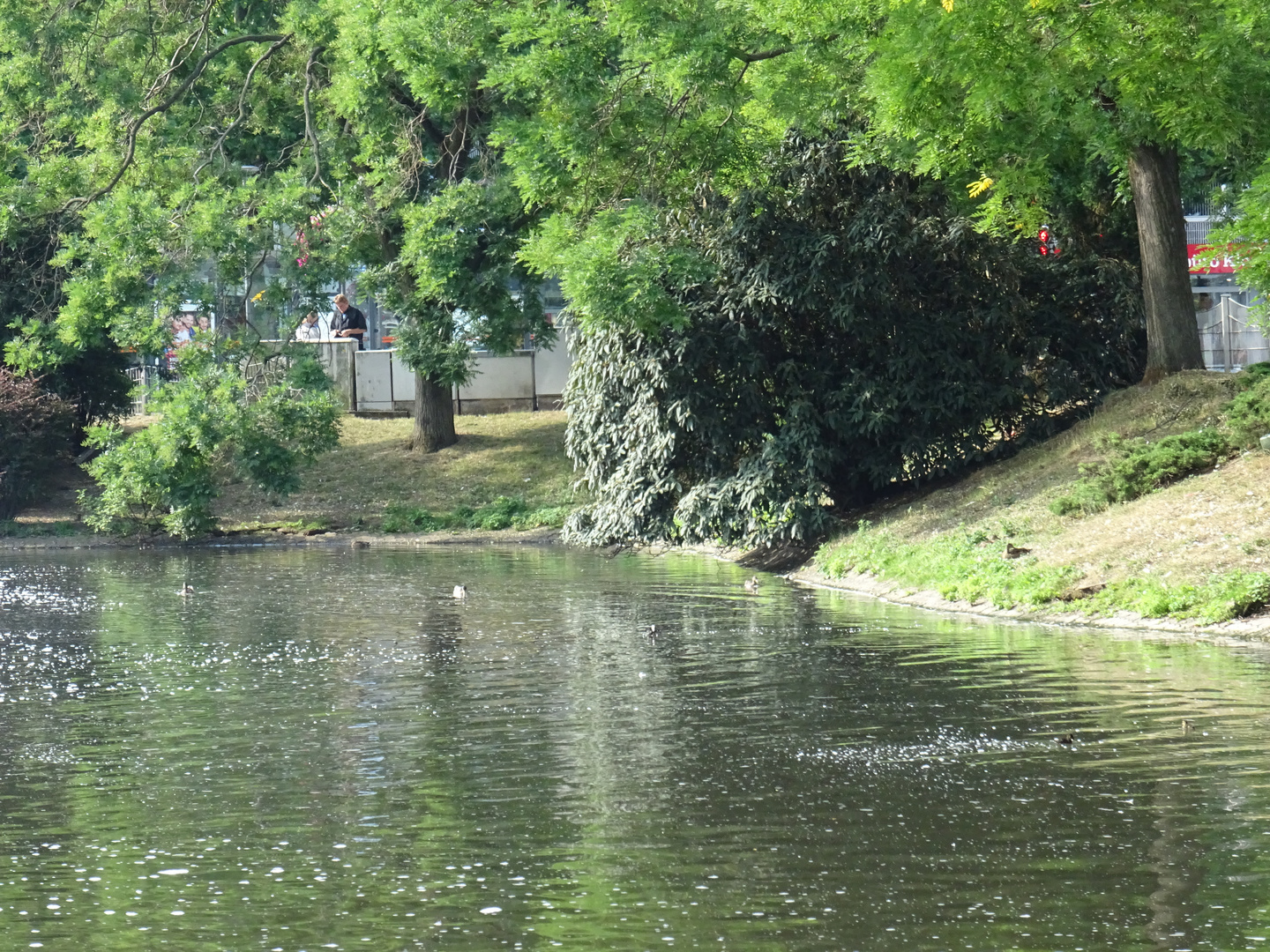 Kleiner Park im grünen Moers!