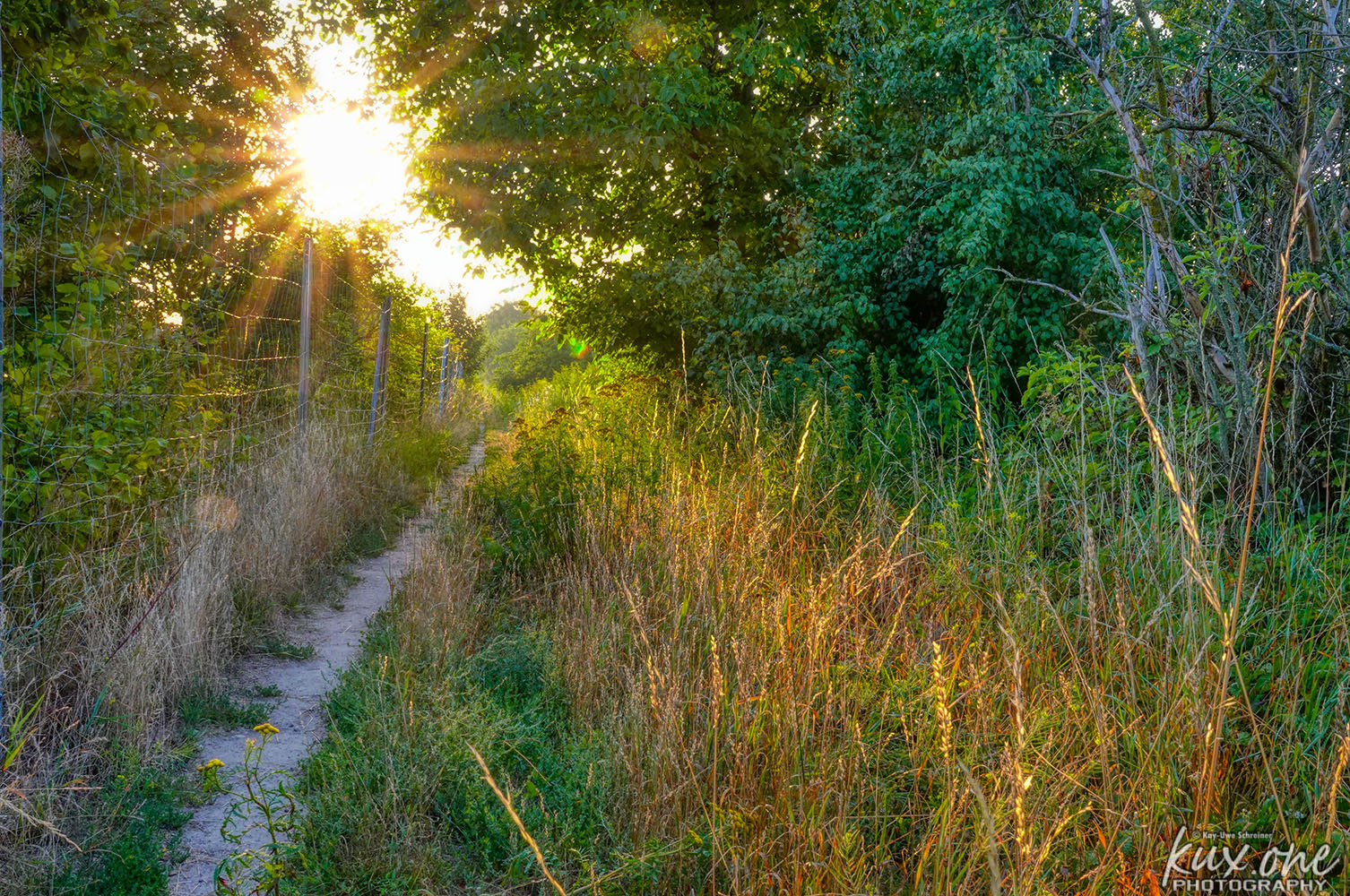 Kleiner Pfad (S4003002) Foto & Bild bäume, sonne, weg Bilder auf