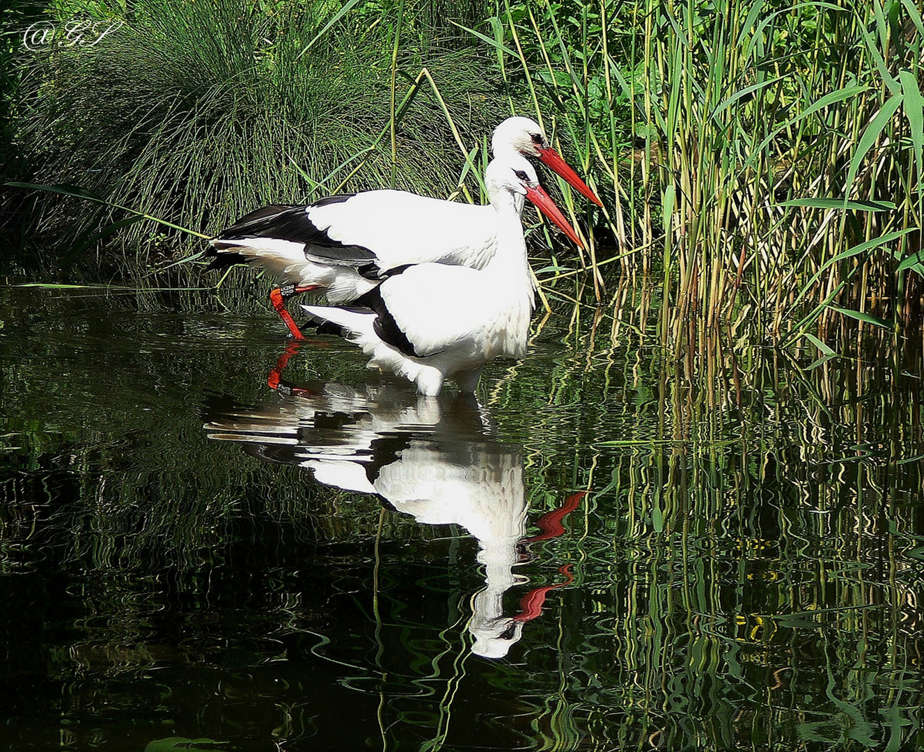 Kleiner Plausch