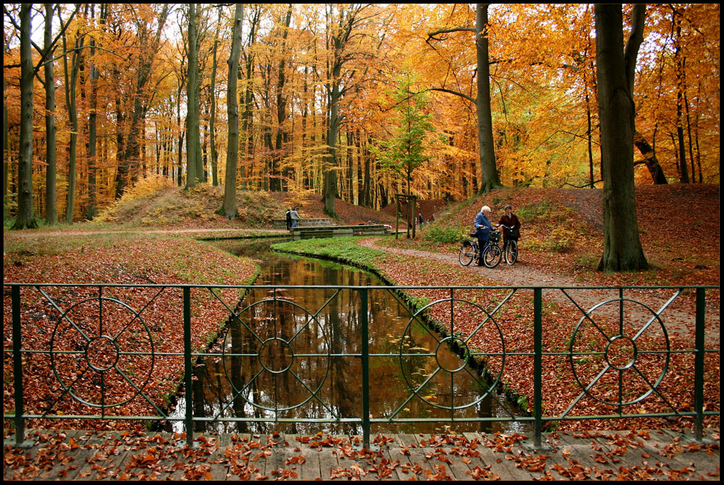 Kleiner Plausch im Park