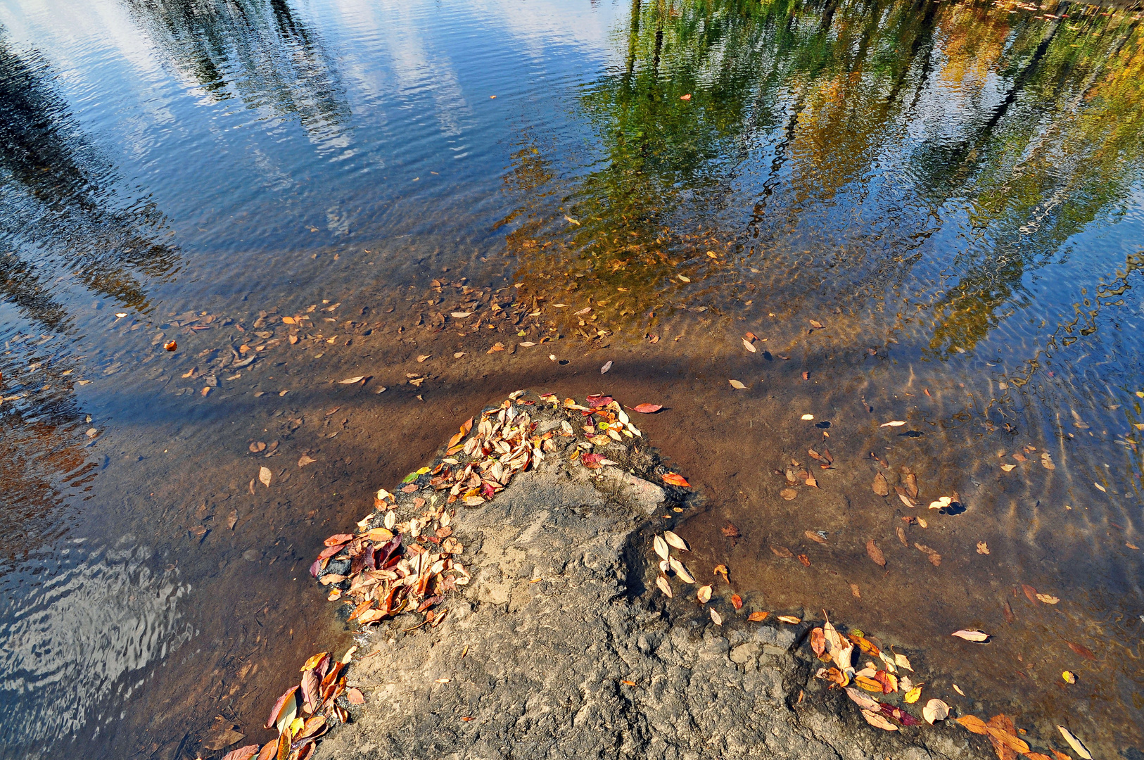 Kleiner Pond