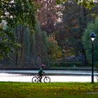 Kleiner Radler am Teich