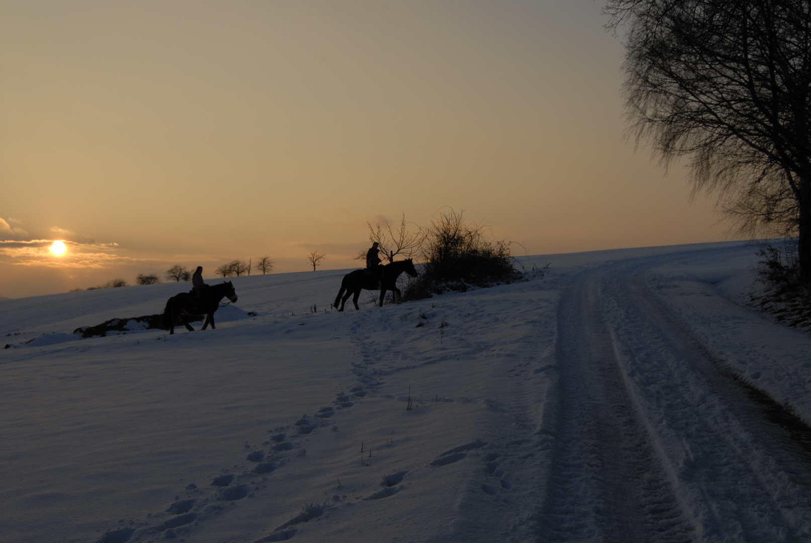 Kleiner Reitausflug im Schnee