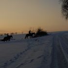 Kleiner Reitausflug im Schnee