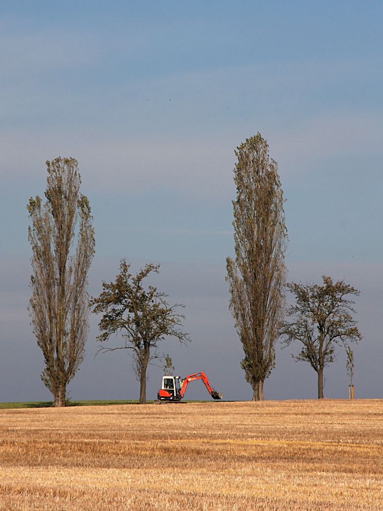 kleiner roter Bagger