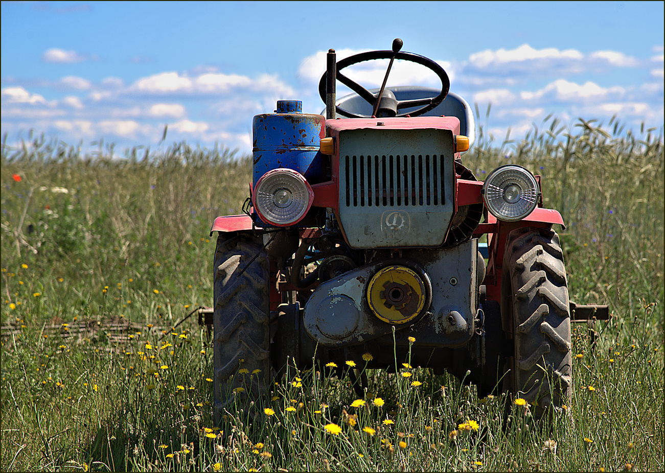 kleiner roter traktor foto & bild | sommer, wiese