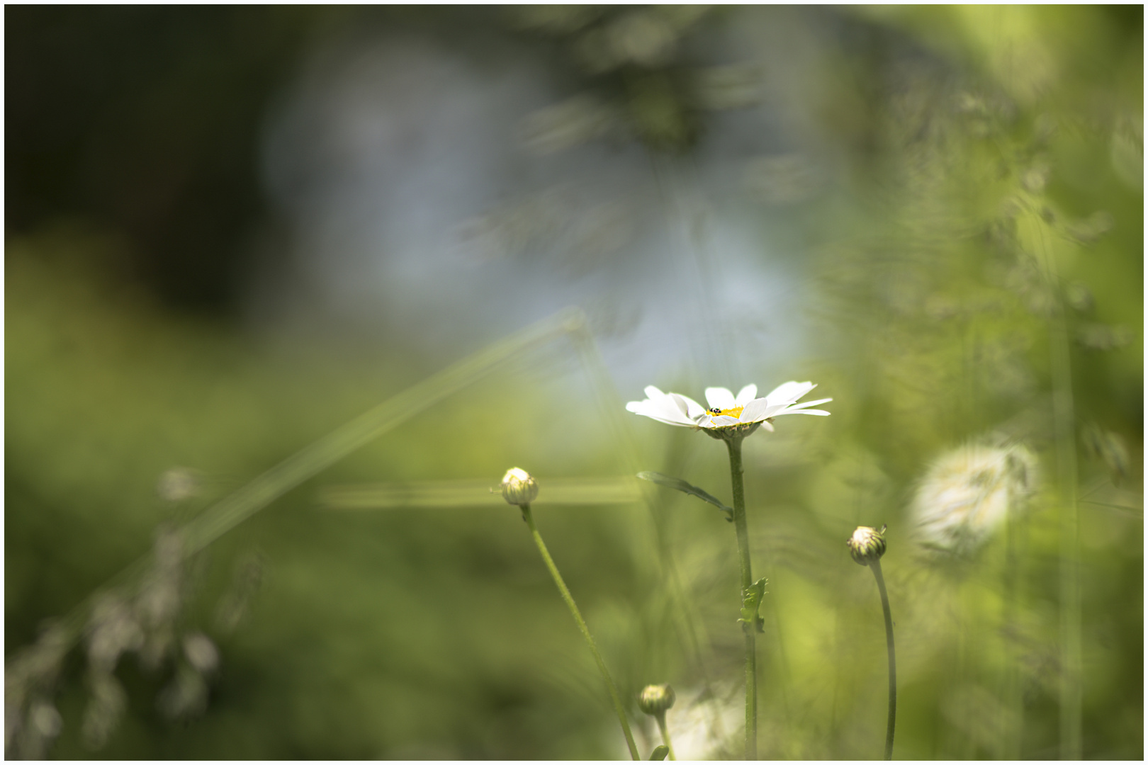 kleiner rückblick