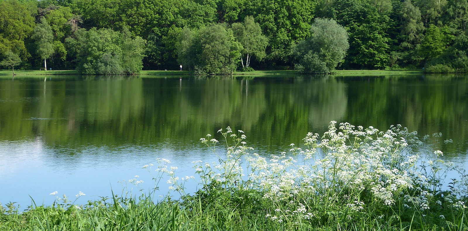 Kleiner ruhiger See.