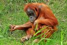 Zoo Leipzig