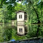 kleiner Schlossteich unterhalb vom Schloss Albrechtsberg in Dresden