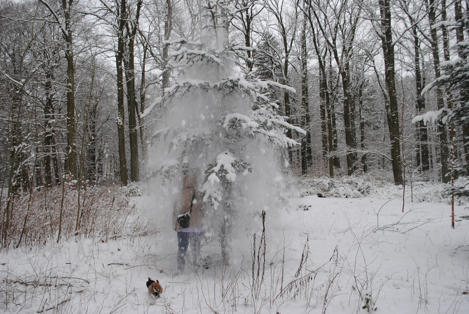 kleiner schneefall