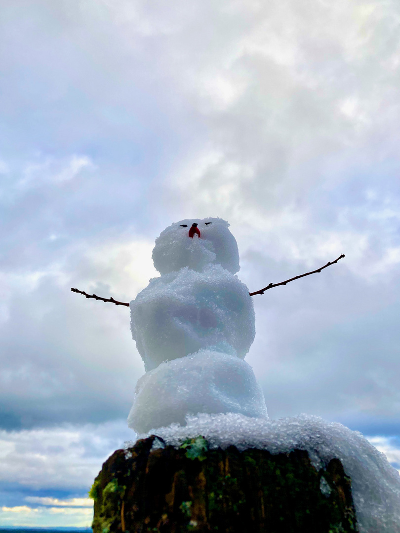 Kleiner Schneemann