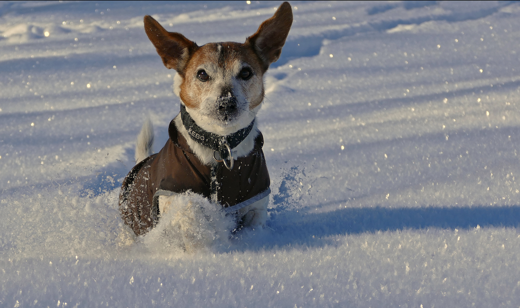 Kleiner Schneepflug