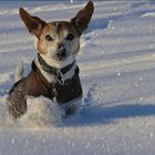 Kleiner Schneepflug