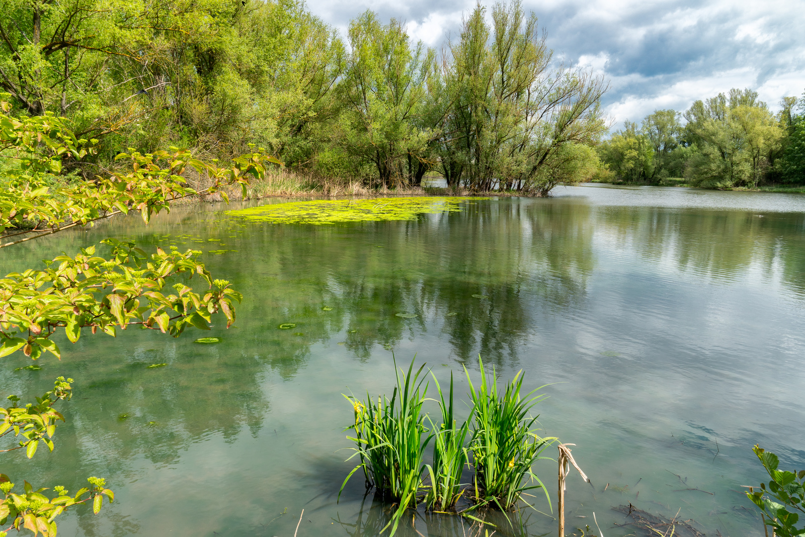 Kleiner See