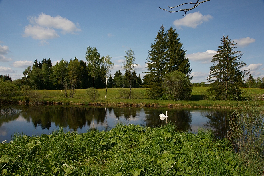 Kleiner See