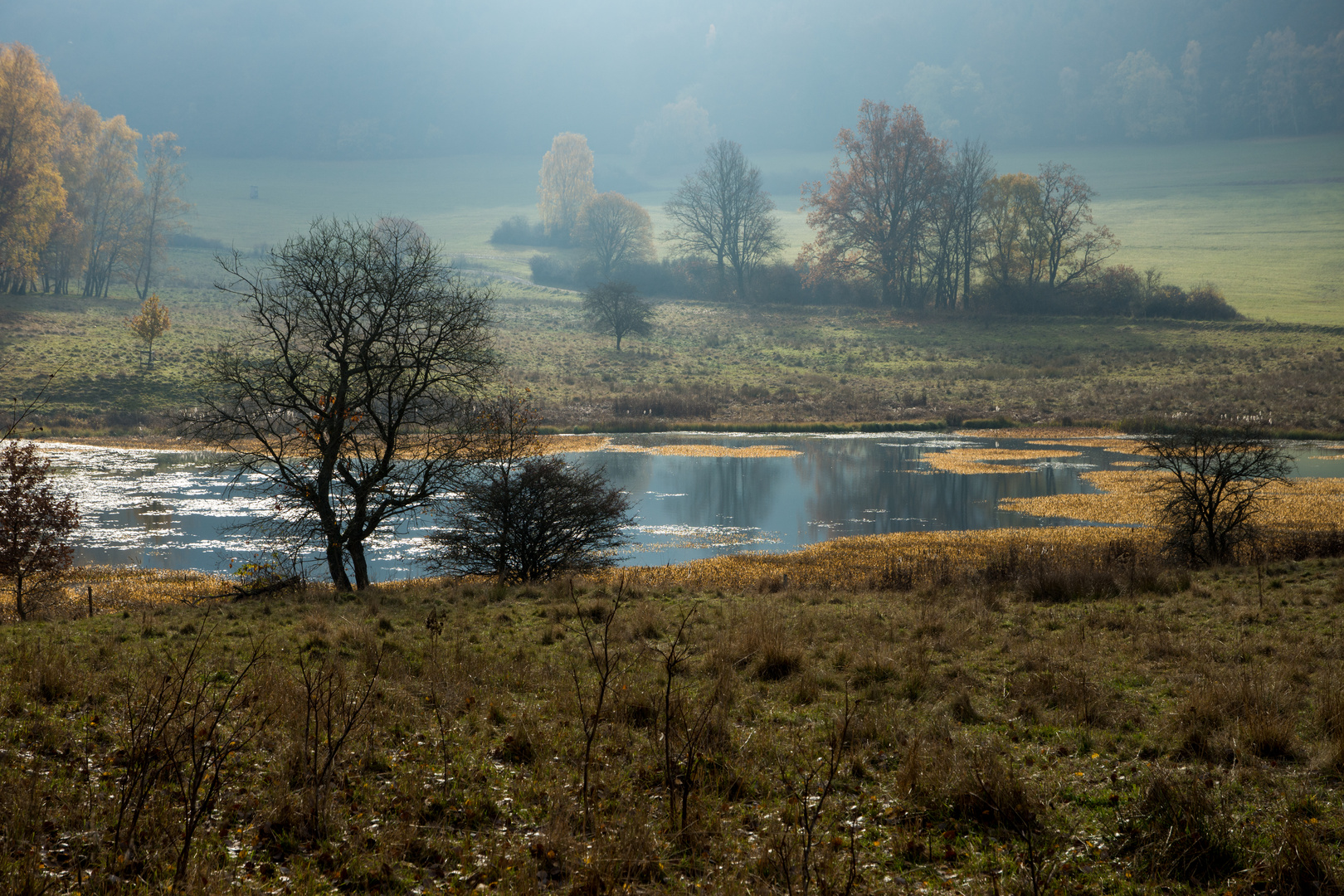 Kleiner See am Morgen