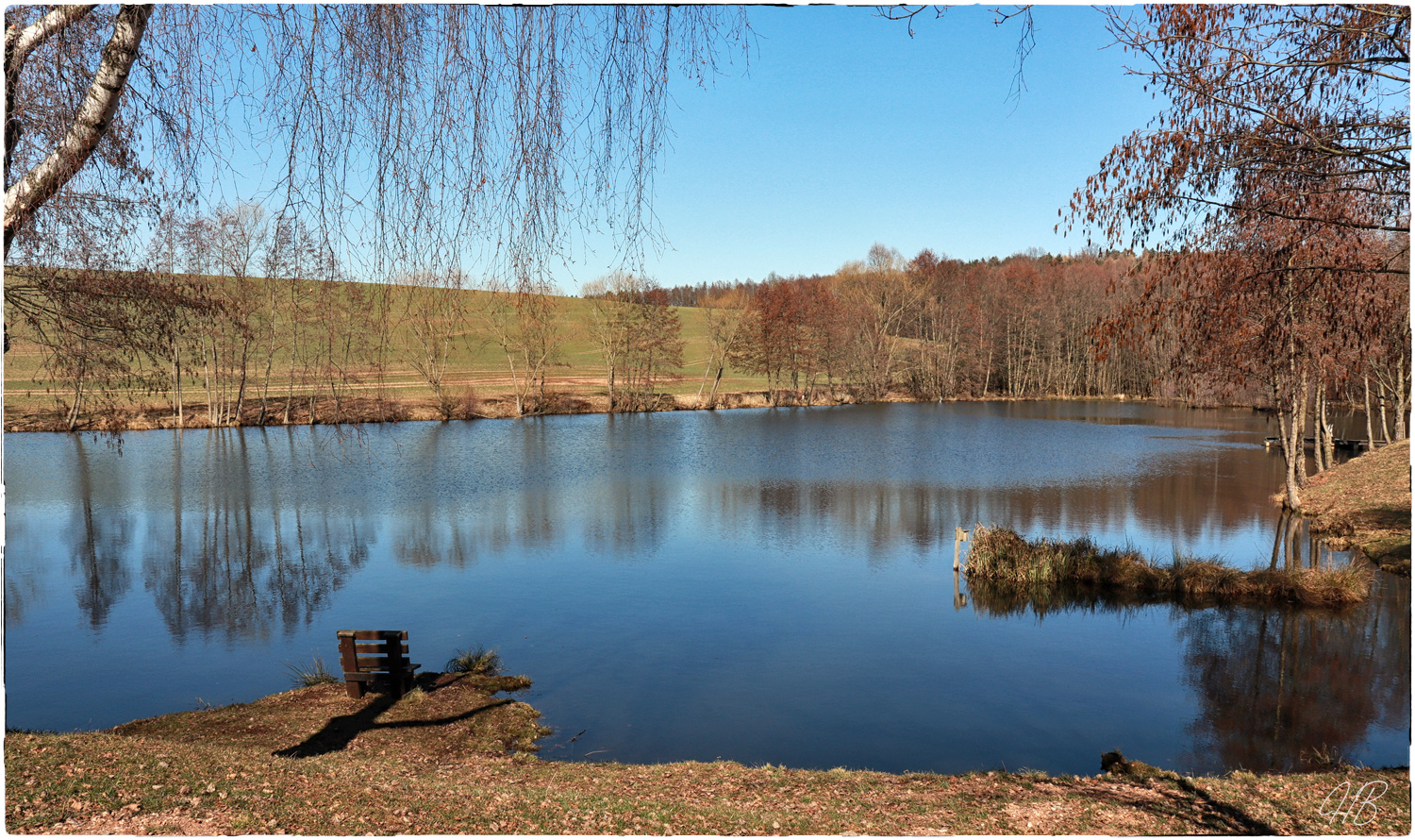 Kleiner See am Waldesrand