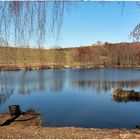 Kleiner See am Waldesrand