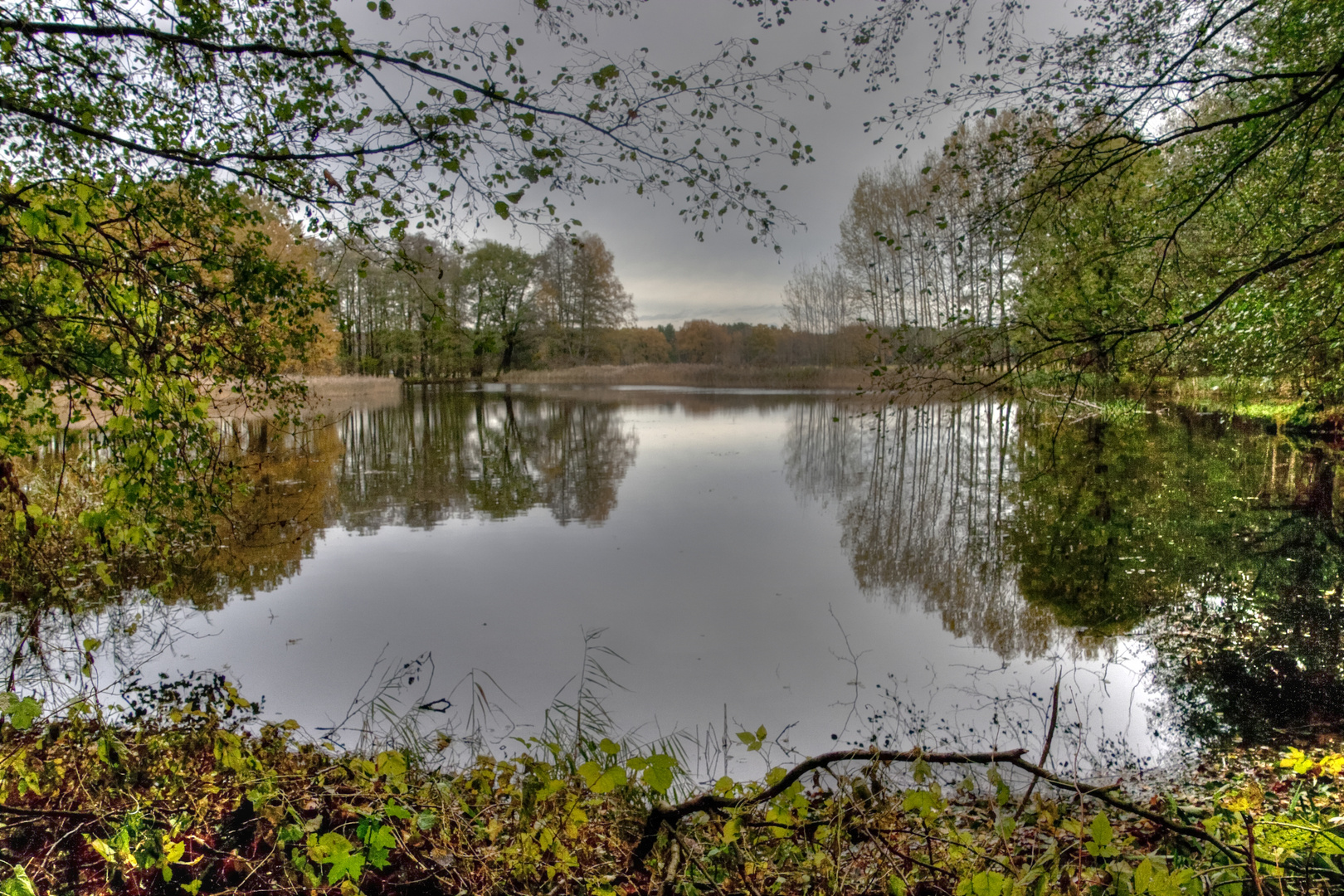 kleiner See am Waldesrand