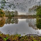 kleiner See am Waldesrand