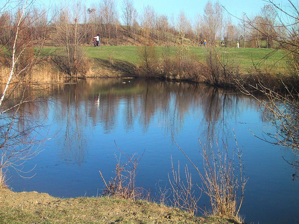 Kleiner See am Wienerberg