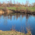 Kleiner See am Wienerberg