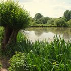 kleiner See auf der Insel Hombroich