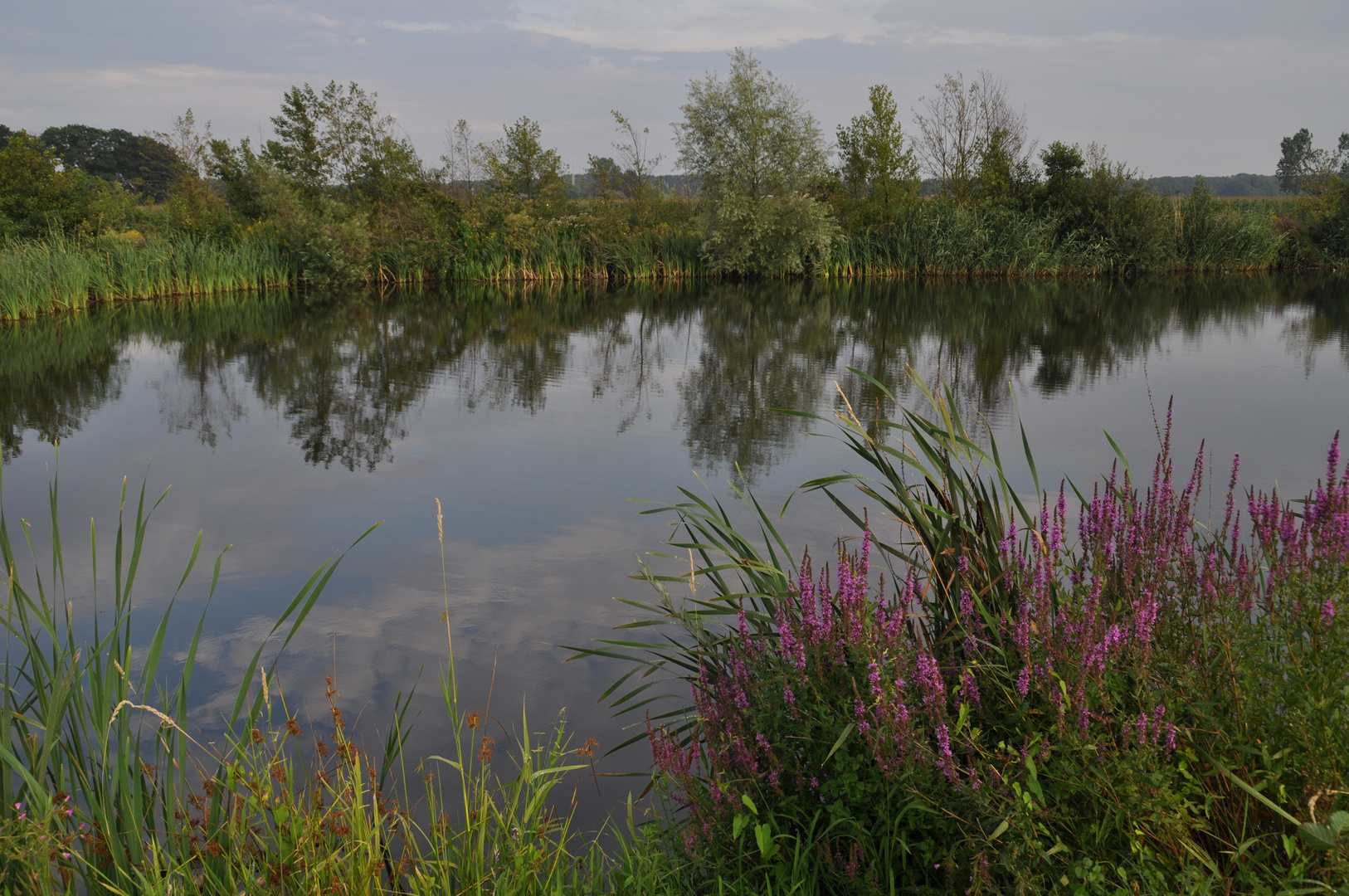 kleiner See bei Kessel/NL