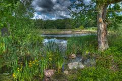 Kleiner See bei Temmen