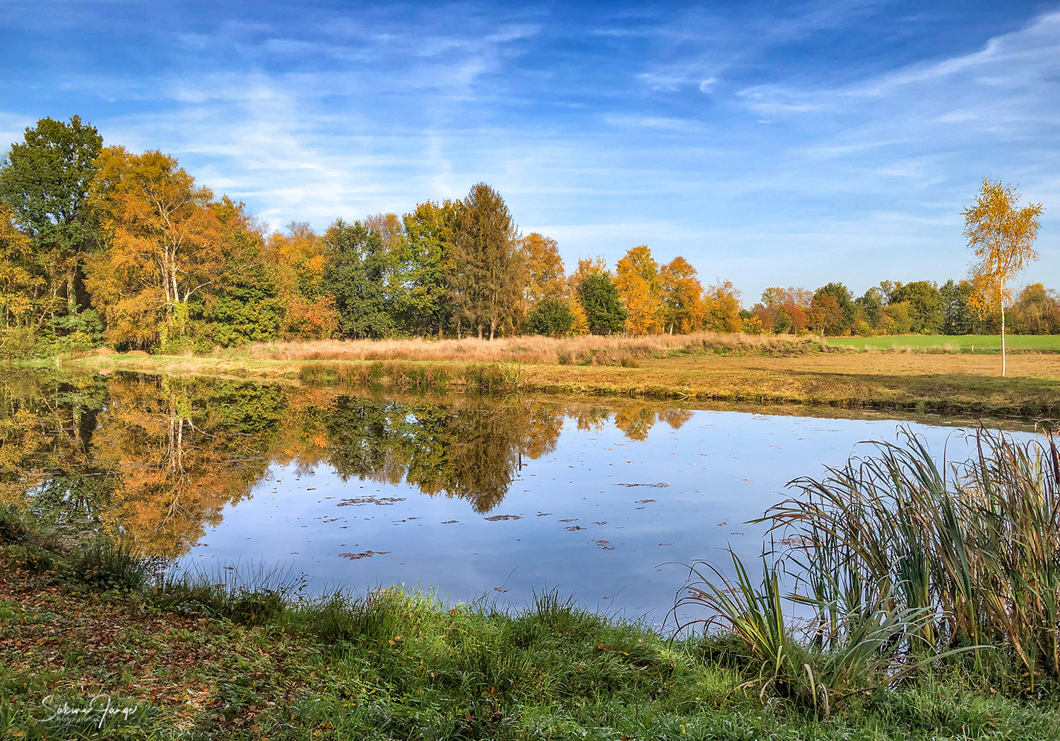 Kleiner See bei uns im Moor