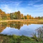 Kleiner See bei uns im Moor