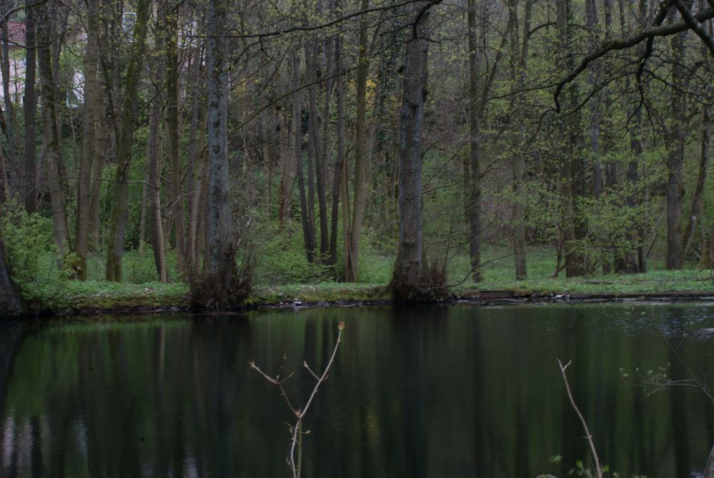 Kleiner See Foto & Bild landschaft, bach, fluss & see, see, teich