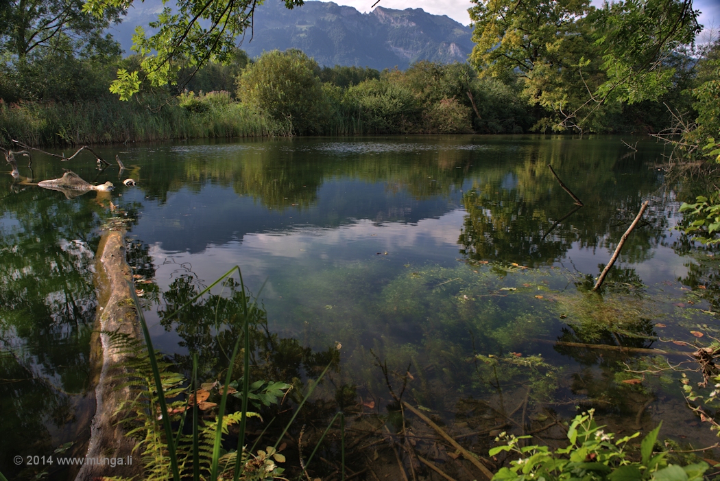 Kleiner See