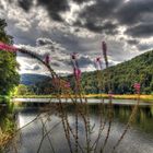 Kleiner See /HDR