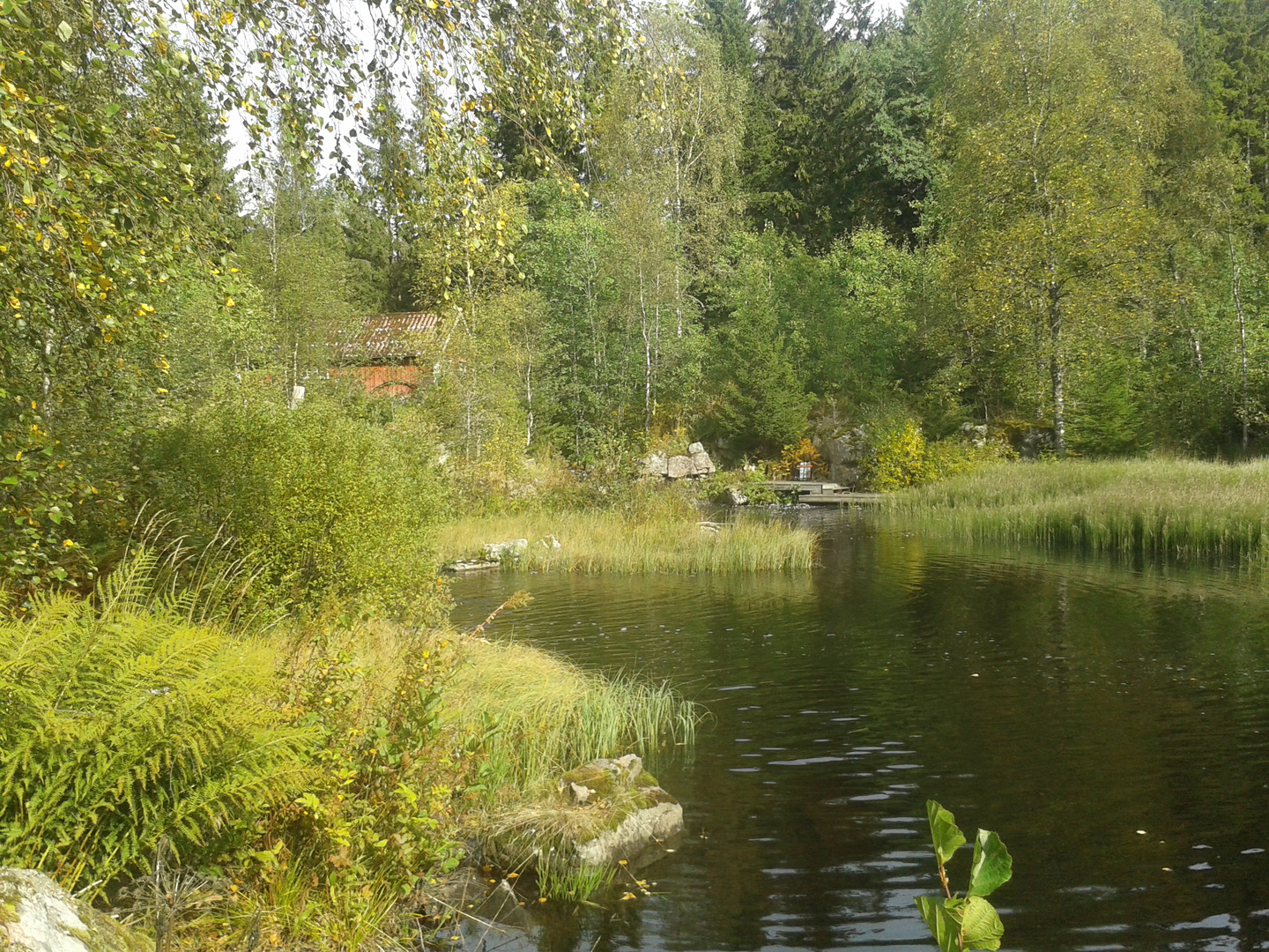 Kleiner See i. Wald bei Ulricehamn / Schweden