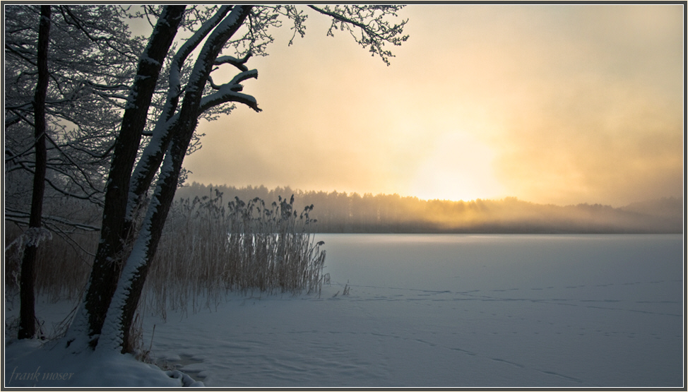 Kleiner See im Barnim