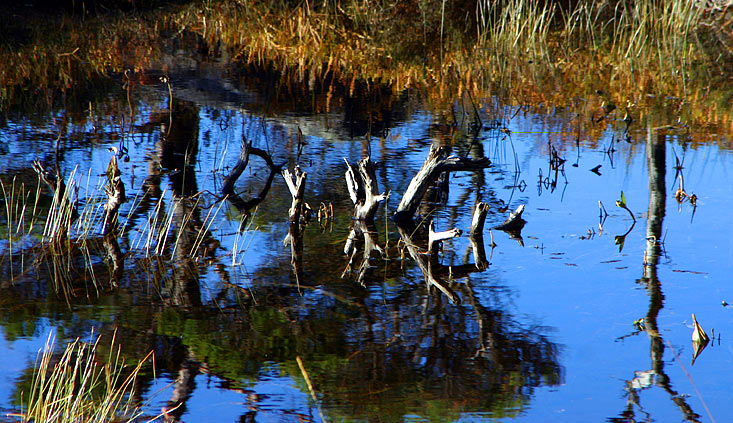 Kleiner See im Gebirge