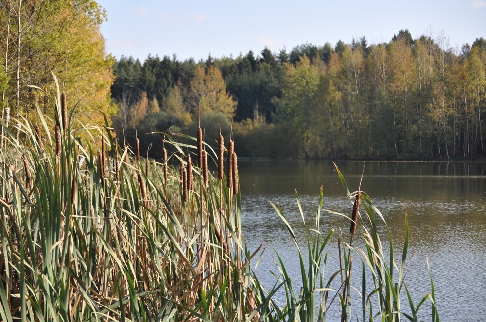 Kleiner See im Herbst