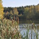 Kleiner See im Herbst