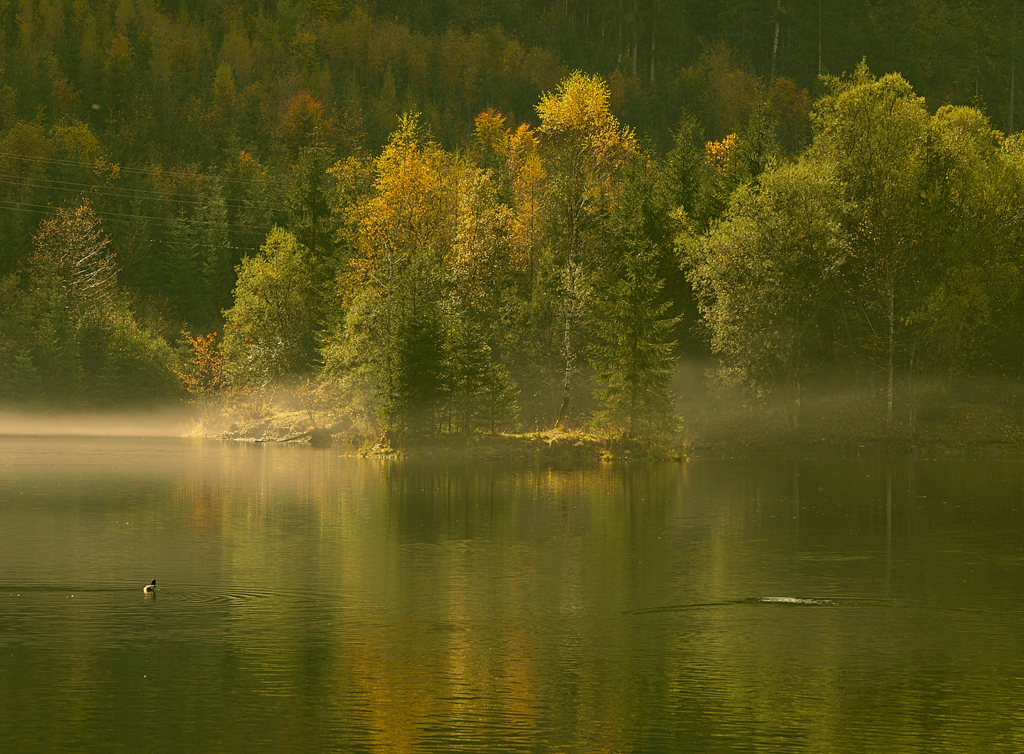 kleiner See im hinteren Gosautal.