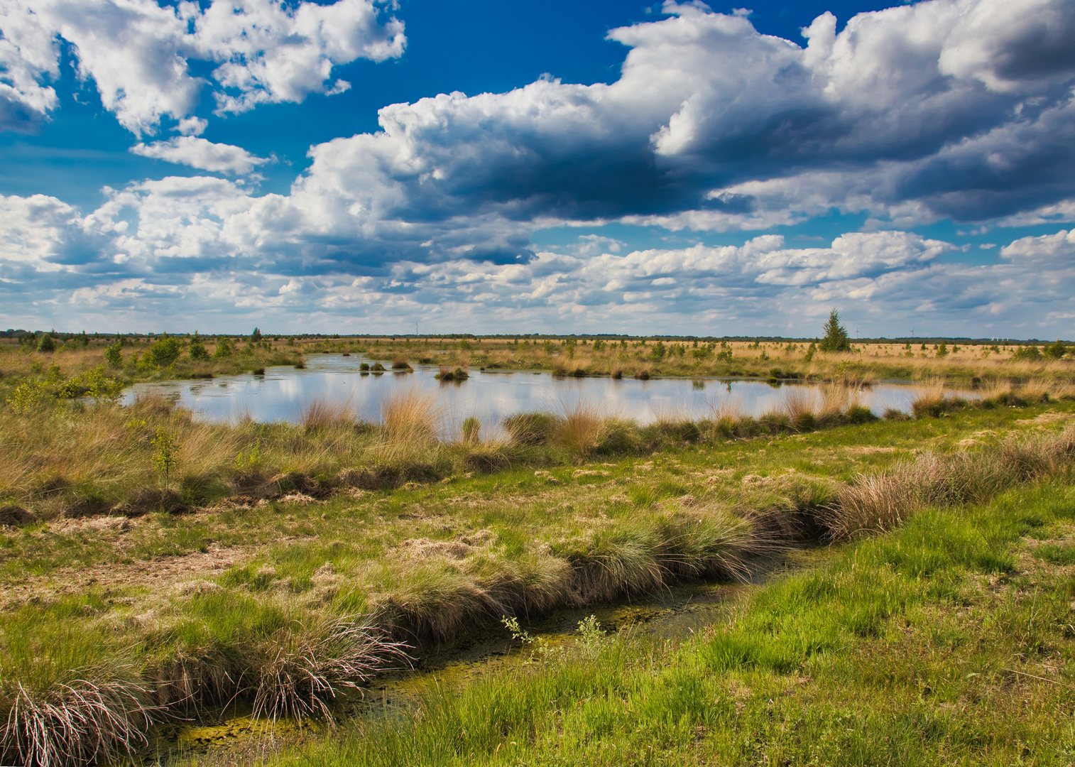 Kleiner See im Moor