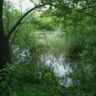 Kleiner See im Regen