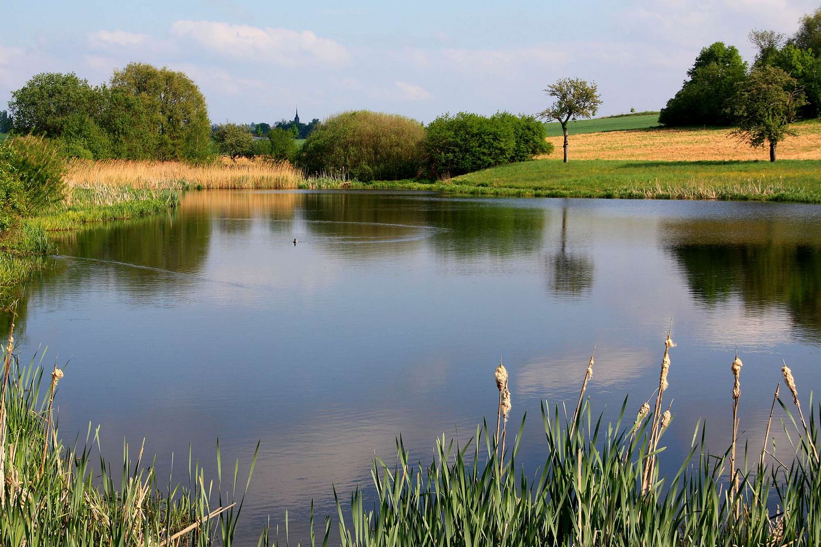 Kleiner See im Sommer Foto & Bild | landschaft, bach, fluss & see, see, teich & tümpel Bilder auf fotocommunity