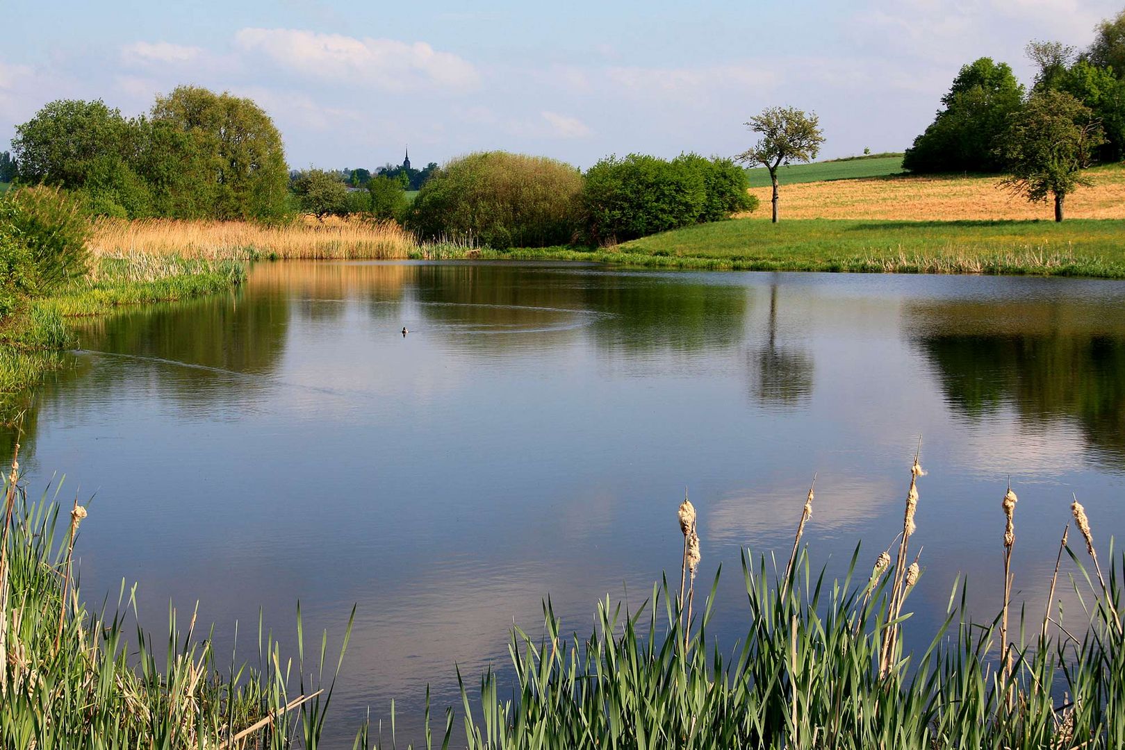 Kleiner See im Sommer Foto & Bild | landschaft, bach, fluss & see, see,  teich & tümpel Bilder auf fotocommunity